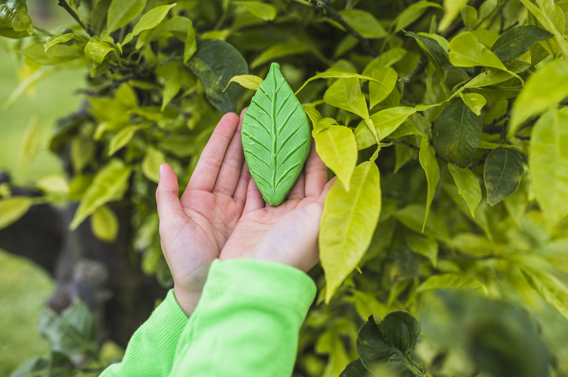 Premium API Manufacturing Industry Solutions by Prism Industries Pvt. Ltd.