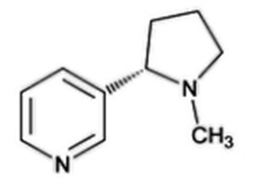 Prism Industries Pvt. Ltd. – Leading Active Pharmaceutical Ingredients Manufacturer