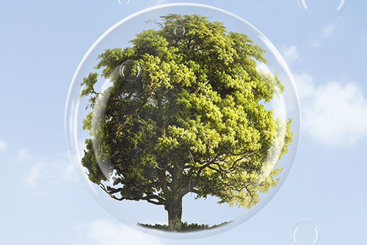 Global Top Pharma Companies Trust Prism Industries Pvt. Ltd. for APIs