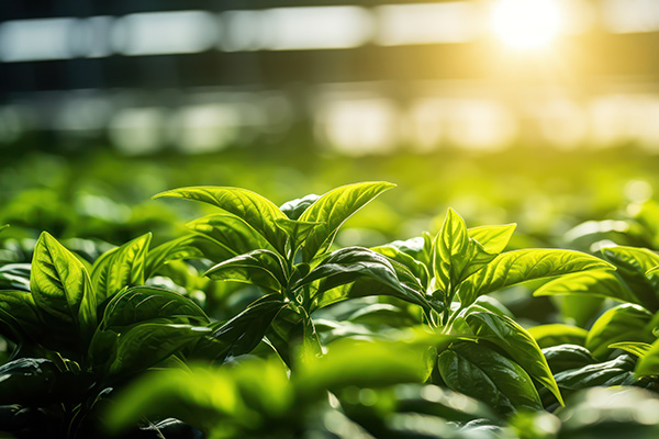 High-Purity Pharma Ingredients by Prism Industries Pvt. Ltd.