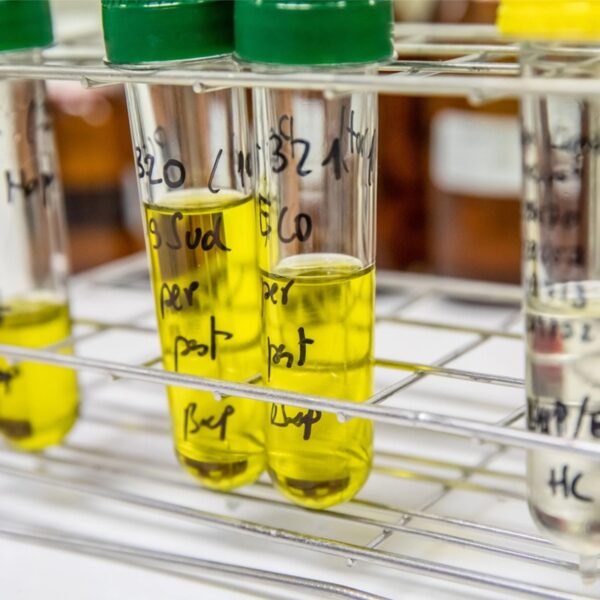 India Pharma Company Delivering High-Quality APIs